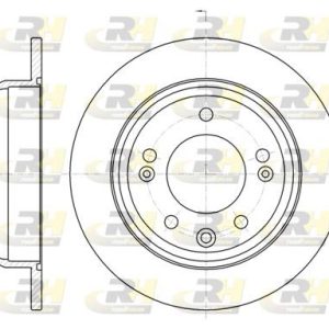 RH 61105.00 Brzdový kotouč ROADHOUSE – lakovaný 843264