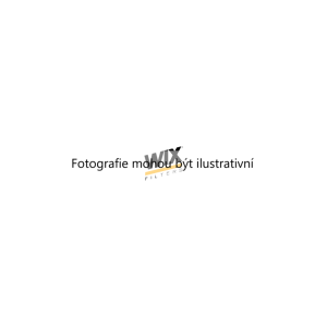 Vzduchový filtr (WIX 46430E) 7400811 Vzduchový filtr (WIX 46430E) 7400811