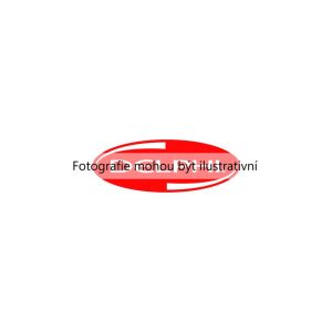 Brzdové destičky (DELPHI LP1515) 9984416 Brzdové destičky (DELPHI LP1515) 9984416