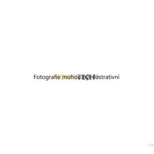 Ozubený řemen (CONTITECH CT1139) 7797117 Ozubený řemen (CONTITECH CT1139) 7797117