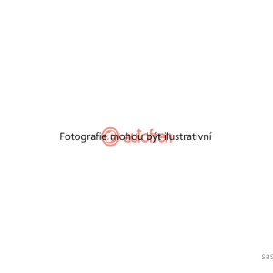 Třmen kotoučové brzdy (AUTOFREN SEINSA D4632) 8351757 Třmen kotoučové brzdy (AUTOFREN SEINSA D4632) 8351757
